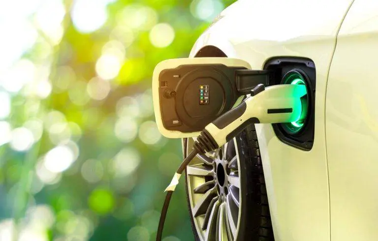 The EV industry has arrived, and it's here to stay. EVs are taking the market share at a fast rate.