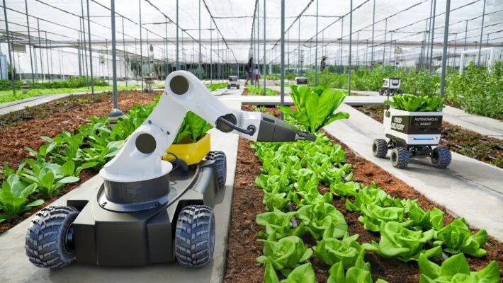 Automation and robotization are no longer limited to manufacturing processes alone; modern warehouses are also embracing a plethora of new technologies.