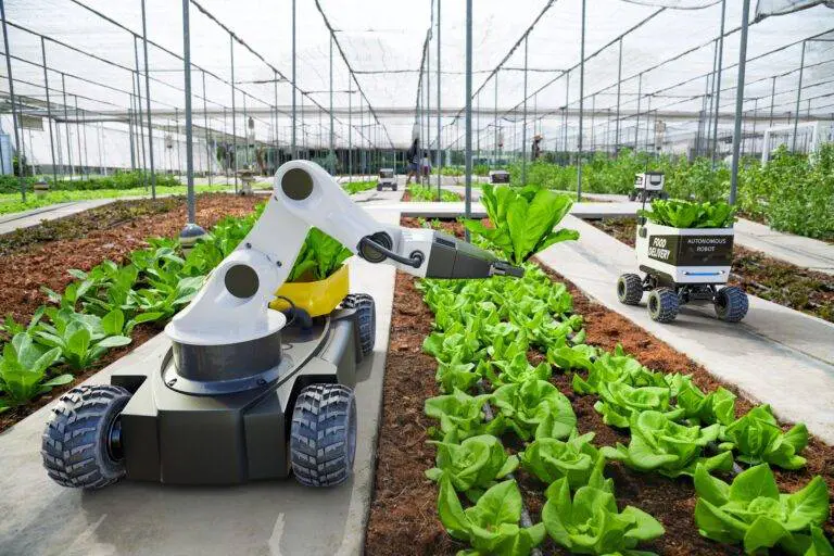 Automation and robotization are no longer limited to manufacturing processes alone; modern warehouses are also embracing a plethora of new technologies.