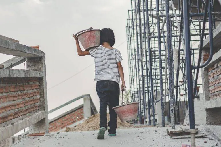EU backs law against forced labour in supply chains