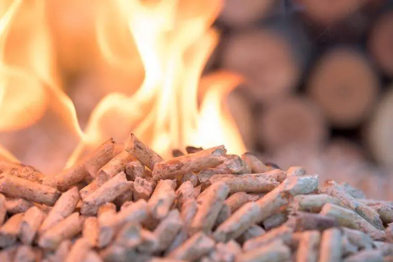 Wood fuels have a wide and useful impact on an energy industry. From past few years, the importance of using wood fuels increasing day by day which is now become a sustainable energy solution.