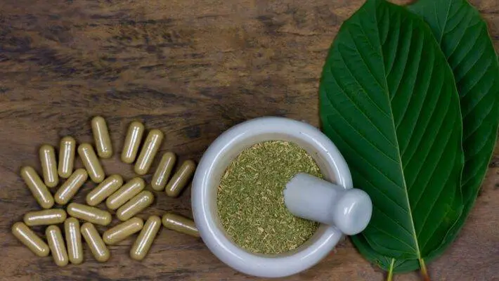 Kratom, a tropical plant native to Southeast Asia, continues to gain popularity in the United