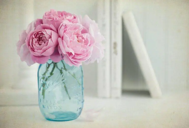 Honestly speaking, you do not need fancy and costly vases or pots to show your creativity in putting up a floral arrangement. Even a simpler vessel like a mason jar can make a fascinating floral arrangement to allure your indoor space.