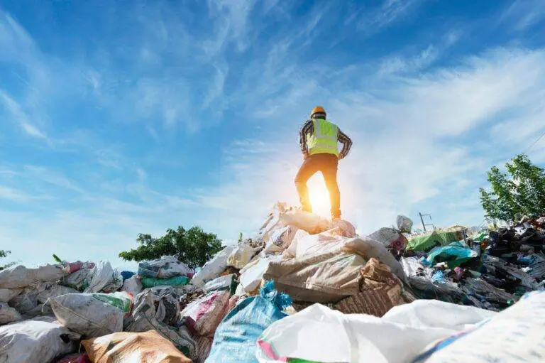 Nature has been dwindling day by day, and one of the most impactful factors is improper waste disposal.