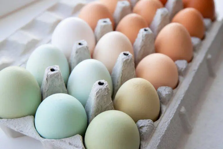 In the fast-paced world of professional kitchens, where time is money and consistency is king, the importance of quality ingredients cannot be overstated.