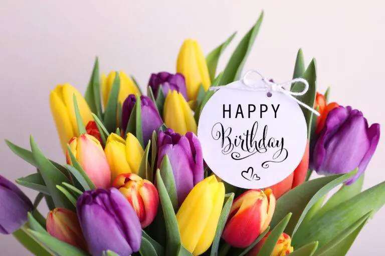 Where human words fail you, Flower language can be a lovely rescue!