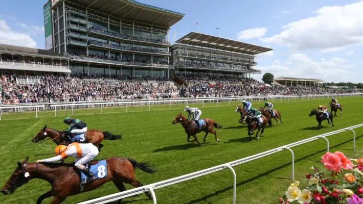 Horse racing is a significant part of British culture, and its economic impact extends far beyond the racetracks. The industry entertains millions and supports thousands of jobs while contributing billions to the UK economy.