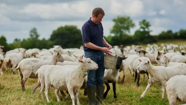 Ministers should grant farmers an inheritance tax holiday to prevent unfair treatment under upcoming tax changes, according to the Institute for Fiscal Studies (IFS).