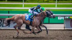 Horse racing has always captivated UK sports fans, with centuries of rich traditions and thrilling finishes on renowned courses like Ascot and Cheltenham.