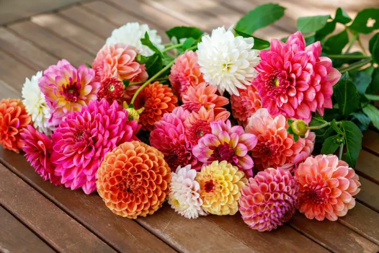 Pastel-colored flowers have an undeniable charm that resonates with people across the UK.