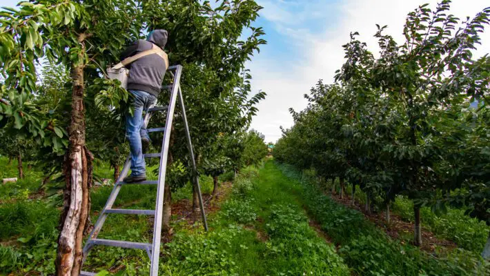 threaten family-run farms