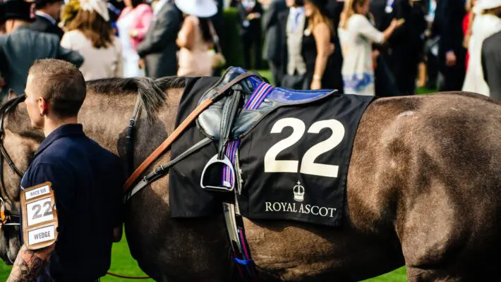 The future of British horse racing is under serious threat unless the government urgently reconsiders proposed tax changes and new gambling regulations, a cross-party group of MPs and peers has warned.