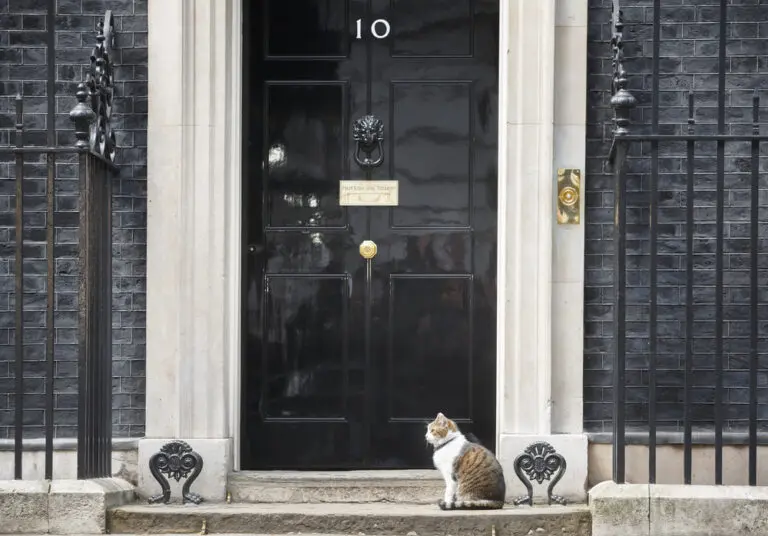Rumour has it that Rachel Reeves is limbering up for November with a Budget that will make the taxman’s quill squeak like a stuck pig. Property, pensions, profits, pasties — all grist to the Exchequer’s mill.