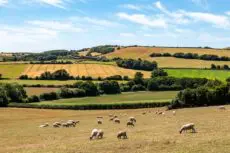 Agricultural technology startup Wild Bioscience has secured £45 million in Series A funding led by the Ellison Institute of Technology (EIT), the research organisation founded by Larry Ellison, chairman and chief technology officer of Oracle.