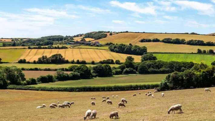 Agricultural technology startup Wild Bioscience has secured £45 million in Series A funding led by the Ellison Institute of Technology (EIT), the research organisation founded by Larry Ellison, chairman and chief technology officer of Oracle.