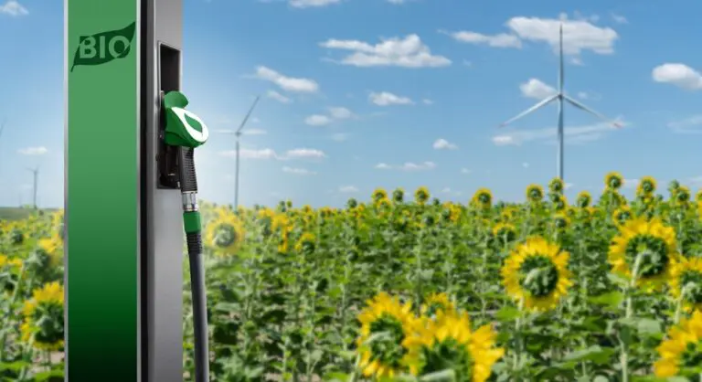 As the UK strives to achieve net zero, the biofuel sector serves as a crucial foundation for sustainable growth.