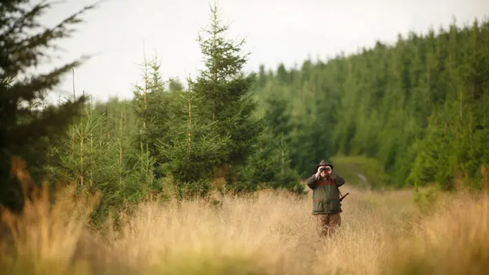 Britain’s rural economy is under mounting pressure from tax reform, rising costs and political uncertainty. From family farms to village livelihoods, this is why the countryside should worry us all.
