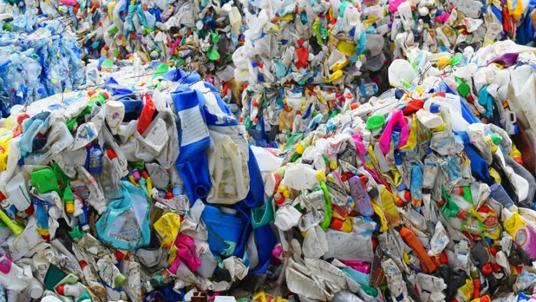 MPs have thrown their weight behind calls for greater Government support for British businesses developing alternatives to plastic packaging, as Parliament steps up its focus on tackling the global plastics crisis.
