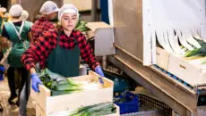 US startup Anchr has secured $5.8 million in seed funding to develop what it describes as the first end-to-end AI-native operating system for food distributors, targeting one of the most operationally complex yet technologically underserved sectors of the global supply chain.