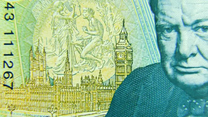 Sir Winston Churchill and other historic figures currently featured on British banknotes are set to be replaced by wildlife under plans announced by the Bank of England following a nationwide public consultation.