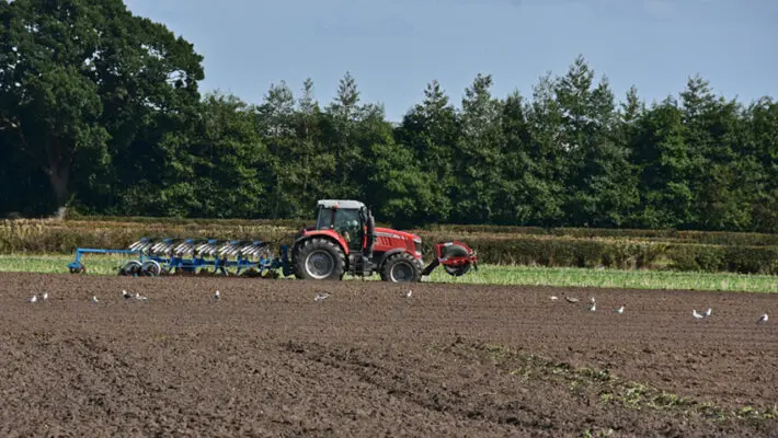Britain’s rural economy is buckling. Hauliers, hoteliers and farmers up and down the country are warning that the cost shock unleashed by the Iran war has tipped thousands of small businesses into what one Somerset operator describes as “total survival mode”, and that, without urgent intervention from the Treasury, the pain will inevitably be passed on at the till.