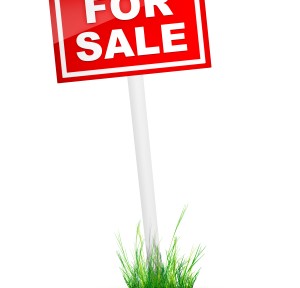 iStock_000011699285XSmall