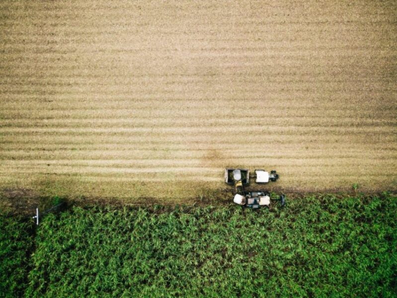 UK farm