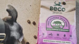 Beco Foods