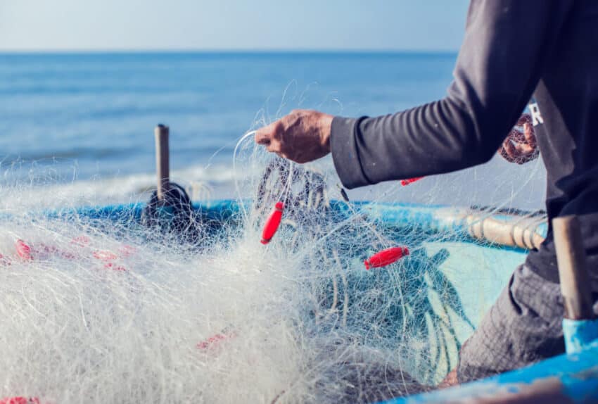 Fisherman