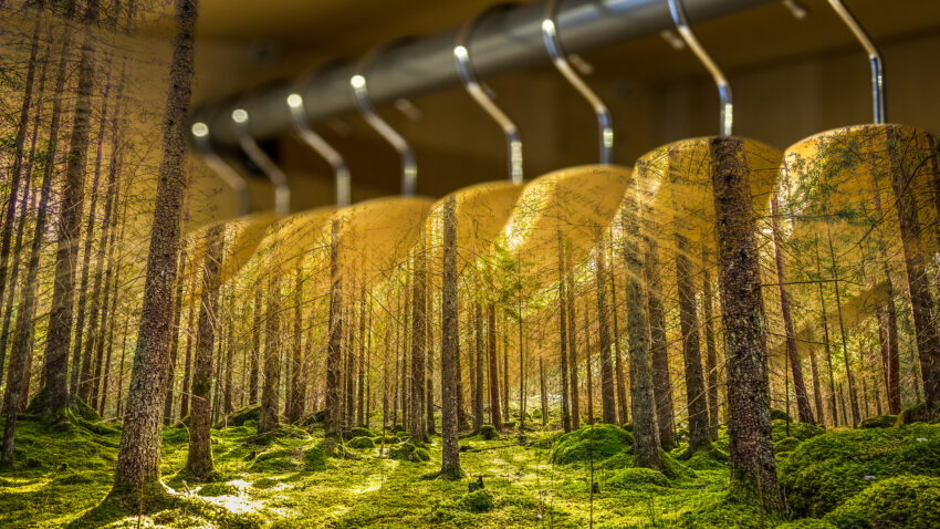 Clothes,Hanger,With,Dresses,In,The,Forest.,Concept,For,Organic
