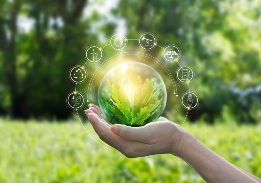 Hands,Protecting,Globe,Of,Green,Tree,On,Tropical,Nature,Summer