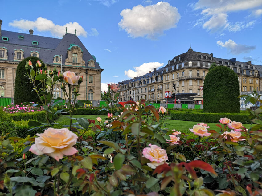 Luxembourg,City,,Luxembourg,-,June,8,,2019:,Roses,Gardens,In