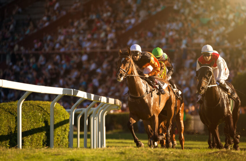 Newbury Racecourse reported good-to-firm going in the first half of the year as punters went back to the races after the pandemic.