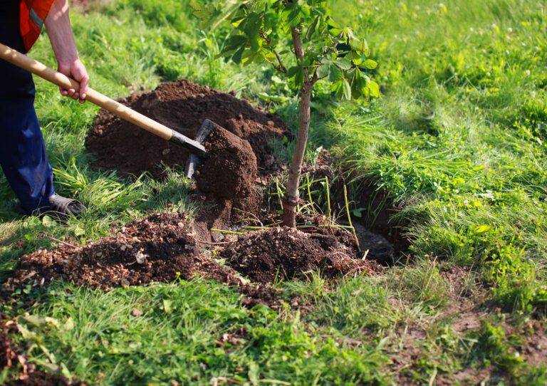 Global investors distanced themselves from purportedly 'ethical' funds last year, pulling out over $10 billion amidst allegations of greenwashing.