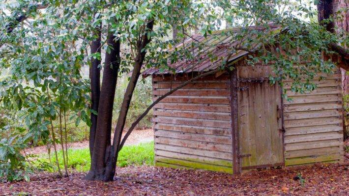 The journey to acquire a new shed transforms not just your garden but your lifestyle, offering a blend of utility and aesthetic pleasure.
