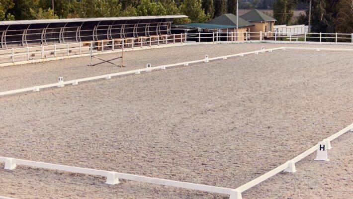 A horse arena is a dedicated area for equine activities such as riding and training. Riders must have an arena that is well-built, safe, and appropriate for their horses.