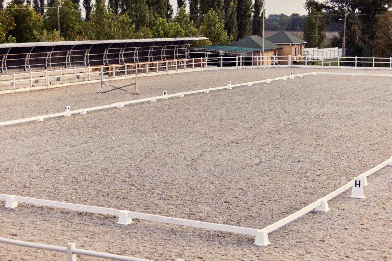 A horse arena is a dedicated area for equine activities such as riding and training. Riders must have an arena that is well-built, safe, and appropriate for their horses.