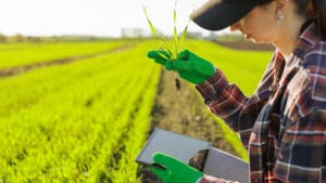 A Cambridge ag-biotech start-up aiming to reinvent crop protection has secured $3.8 million in early-stage funding to accelerate the development of next-generation herbicides and pest control products using artificial intelligence.