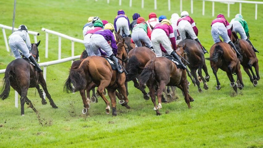 BetGoodwin publishes a second-by-a-nose refund offer for qualifying UK and Irish races. Eligibility, stake limits, bet types and reward format matter, so bettors should always check the current promotion terms first.